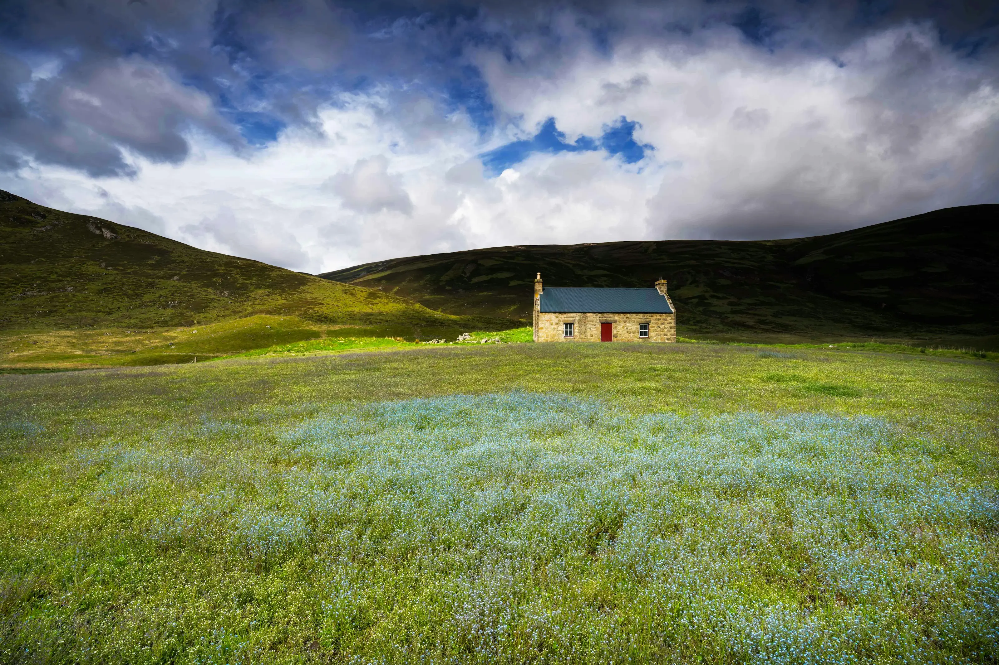 A small stone country house with a red door in a flowering meadow, surrounded by mountain hills near Braemar, Scotland